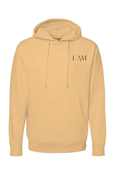 independent pullover hoody Aligned