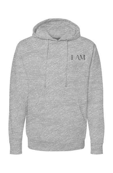 independent pullover hoody Aligned