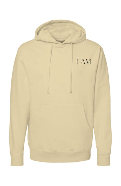 independent pullover hoody Aligned